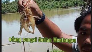 #Vlog65 mancing di Durian Mentangau #takkumpau