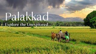 5 Must-Visit Places in Palakkad  Kerala Tourism  #DreamDestinations