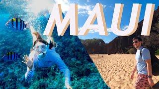 Top 8 Beaches In Maui Hawaii  2023