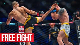 CRAZY HIGH-KICK A young phenom ended the career of a skilled veteran  PARADEISER vs. FISHER