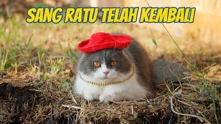 SANG RATU TELAH KEMBALI