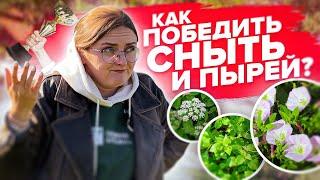 КАК УБРАТЬ СОРНЯКИ НАВСЕГДА? Мокрицу сныть вьюн портулак и другие