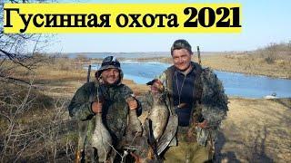 Гусиная охота 2021. Весенняя охота сезон 2021 .