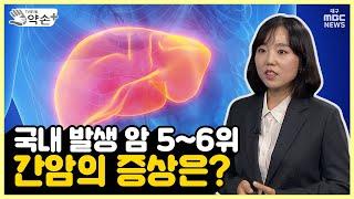 국내 간암 발생률과 간암 증상은? ‘조용하지만 치명적’ 간질환 바로 알기 ⑩  메디컬 약손