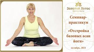 Семинар-практикум Отстройка базовых асан йоги Reconstruction of basic yoga asanas