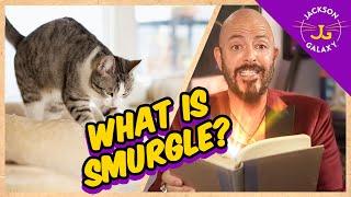 Why Do Cats Knead?  What is Smurgle?