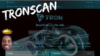 Tron Mainnet Launch Brought Us TRONSCAN