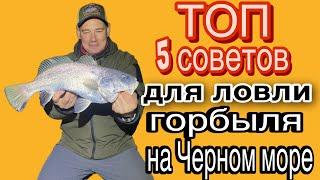 Советы для ловли горбыля на Черном море.