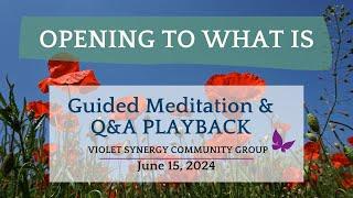 Satsang June 15 2024  Guided Meditation  Q&A Inquiry