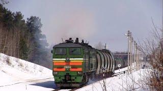 Тепловоз 2ТЭ10М-3646  Diesel locomotive 2TE10M-3646