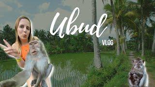 UBUD  Reisevlog & meine Tipps #bali 