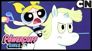 BUBBLES AND DONY THE UNICORN - Odd Bubbles Out  The Powerpuff Girls  Cartoon Network
