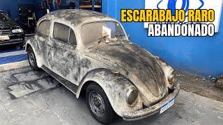 ¡ESTA ES EL ESCARABAJO MÁS FAMOSO DEL MUNDO LAVADO DE COCHE