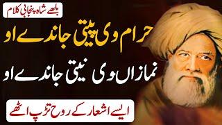 Baba Bulleh Shah Punjabi Kalam Part #3  Punjabi Sufi Kalam  Heart Touching Punjabi Poetry