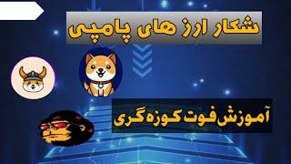 شکار ارز های پامپیچطوری قبل از پامپ یک ارز رو شناسایی کنیم؟ارز های پامپی رو خودت پیدا کن