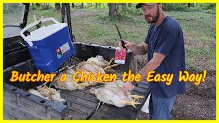 Butcher a Chicken Without Plucking