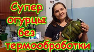 Вкуснейшие консервированные огурцы на зиму без термообработки и уксуса 08.22г. Семья Бровченко.