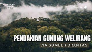 PENDAKIAN GUNUNG WELIRANG VIA SUMBER BRANTAS