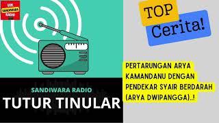 Pertarungan Arya Kamandanu dengan Sang Kakak Pendekar Syair Berdarah  Arya Dwipangga