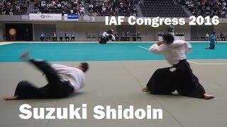 Suzuki Toshio Shidoin at the 12th International Aikido Federation Congress Demonstration