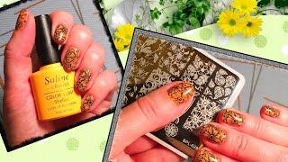 Stamping on Gel Nail Shellac Soline Charms with plate Born Pretty BPL-029.Stamping nail art.