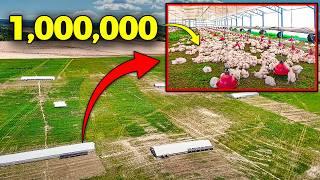 Raising Over a MILLION Chickens a Year  Pasturebird Farm Tour