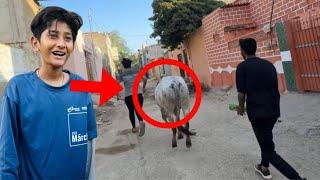 Dost Ki Cow Bhaga di Prank Gone Wrong*Sach me bhag gyi*