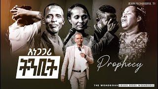 አነጋጋሪ ትንቢት - Prophet Israel Dansa - Jesus Wonderful Tv