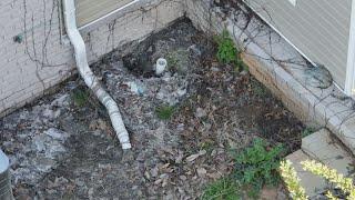 Douglasville woman says she had to live in sewage-filled home for a year