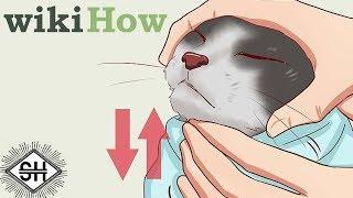 WikiHow Images