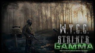 S.T.A.L.K.E.R. Anomaly GAMMA #5 Стрим от 21.05.2023