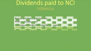 Dividends Paid to Non-Controlling Interest   Consolidated Statement of Cash Flows