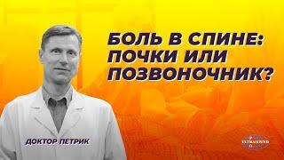 Боль в спине  почки или позвоночник?