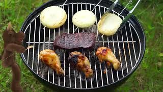 Lets Have a B.B.Q  Sing and Play Blue Adventures  Simple Skits and Songs for Kids