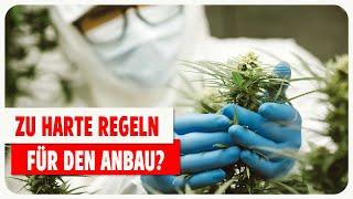 Legal Cannabis anbauen - Was erwartet dich als Unternehmer? 12