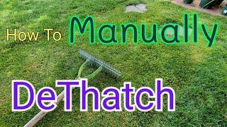 How To DeThatch A Lawn With A Thatch Rake