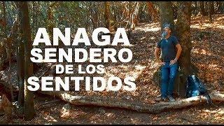 QUÉ HACER EN TENERIFE ANAGA Sendero de los Sentidos Pico del Inglés ¡Qué Gran Viaje Lee de Caires