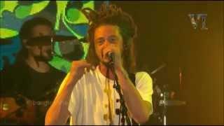 SOJA - I dont wanna wait Live Caliroots