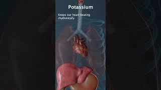 Potassium Deficiency