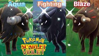 All Rare Shiny Paldean Tauros Breeds Found In Pokémon Scarlet & Violet