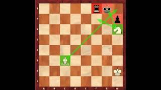 Chess for Beginners. Mating Patterns #12. Eugene Grinis. Chess