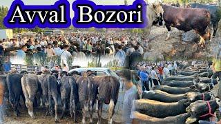 Avval  Chorva  bozori. Buqalar va hunajinlar  Narhlari 27072024  bozor holati  urtacha