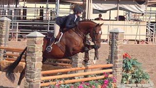 Collman Equestrian Hunter - Jumper at Westworld in Scottsdale AZ