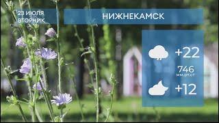 Прогноз погоды в Нижнекамске на 23-е июля 2024 года