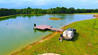 Building a 5 Acre Pond Adding the Bass