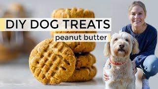 HOMEMADE DOG TREATS  easy DIY dog treats recipe