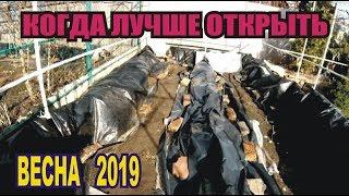 Виноград-когда открывать виноград после зимывесна 2019новичку на заметку