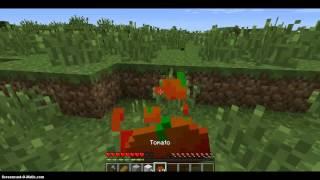 MINECRAFT SURVIVAL SERIES EP. 1