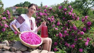 Fairy village life Woman is harvesting and cooking colorful flowers. Relaxing collection of food