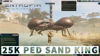 25k PED $2500 loot Sand King  Entropia Universe